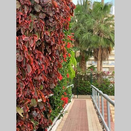Jardines Del Sur, Ocean View Lejlighed Buzanada Eksteriør billede