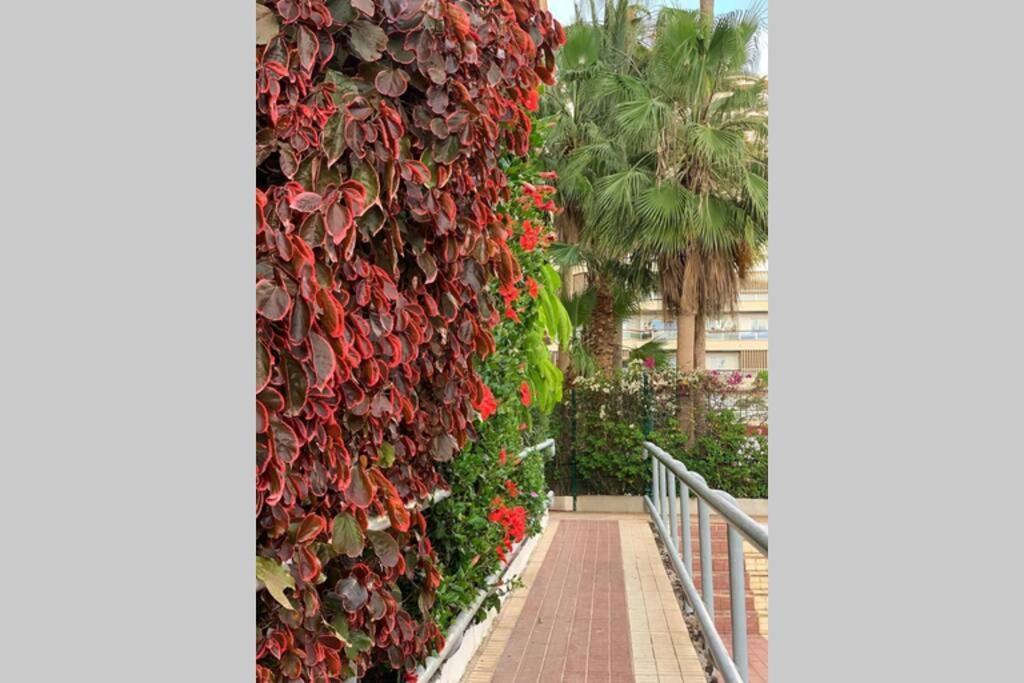 Jardines Del Sur, Ocean View Lejlighed Buzanada Eksteriør billede